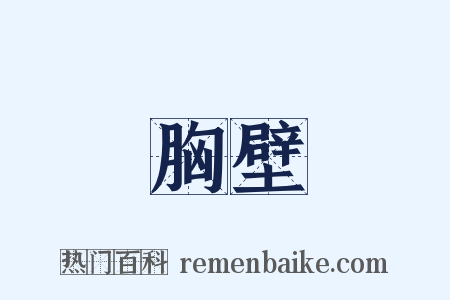 胸壁是什么意思的图片